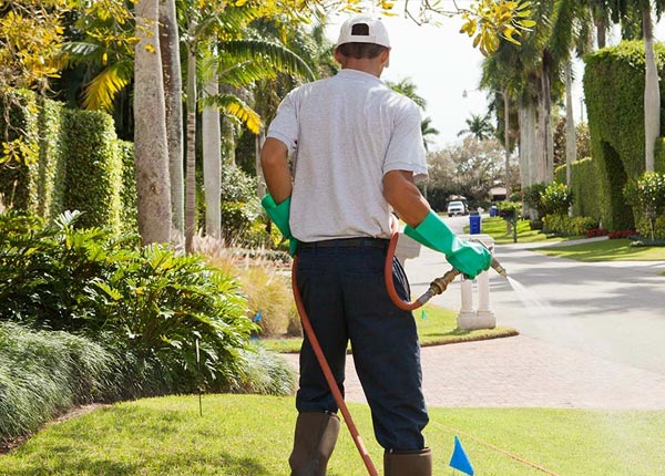 About Johnson KS Pest Control
